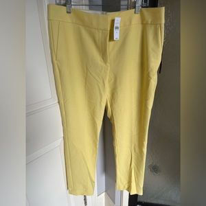 Loft Yellow Marisa Pants Size 12